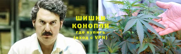 трава Арсеньев