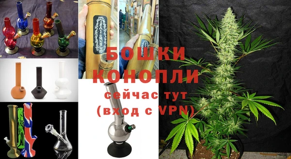 трава Арсеньев