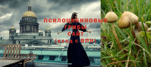 трава Арсеньев