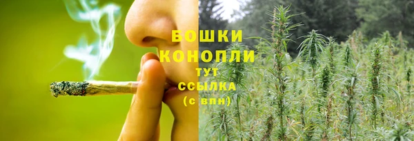 трава Арсеньев