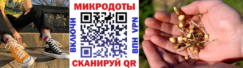 Галлюциногенные грибы мухоморы  Саяногорск 